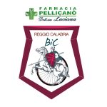 Fisiosanisport Reggio BIC