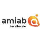 BSR Amiab Albacete